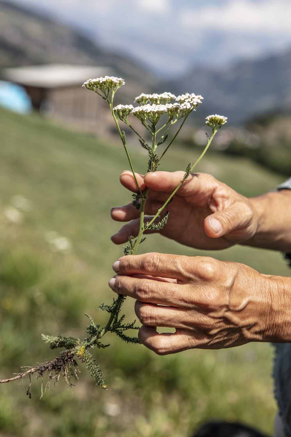 13 Photo Vera Hartmann Val Lumnezia