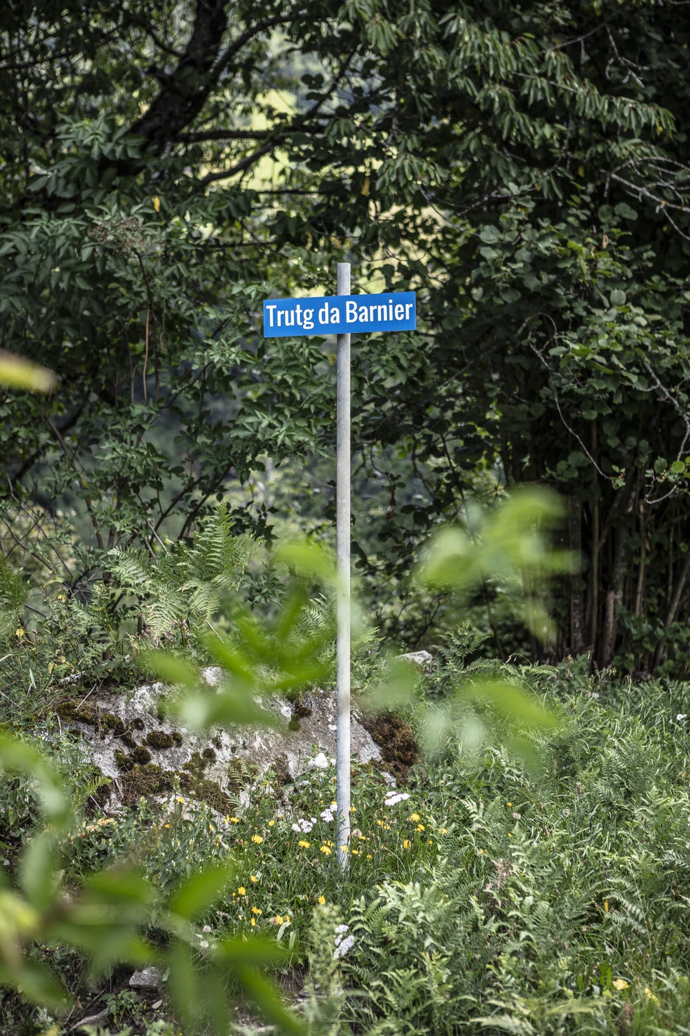 13 Photo Vera Hartmann Val Lumnezia