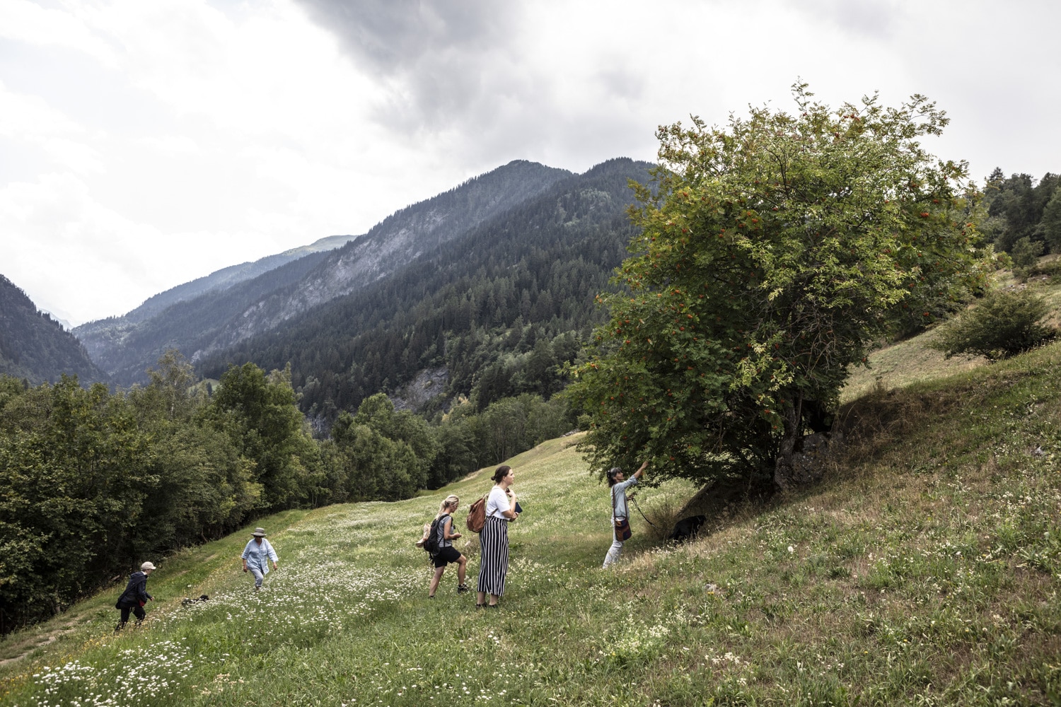 13 Photo Vera Hartmann Val Lumnezia