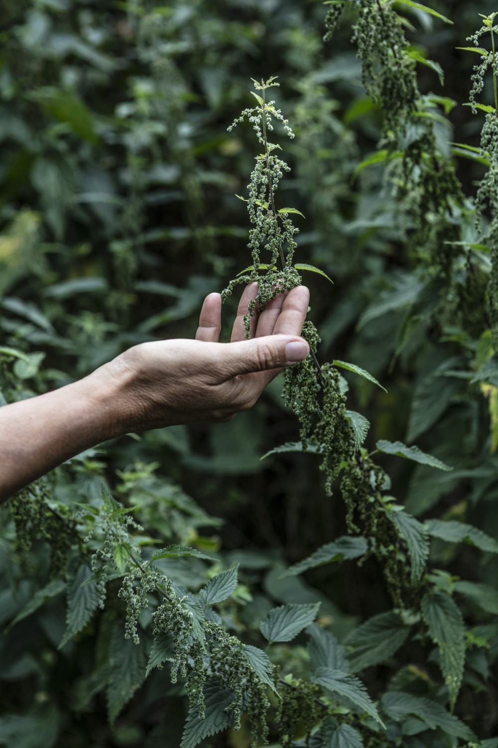 13 Photo Vera Hartmann Val Lumnezia