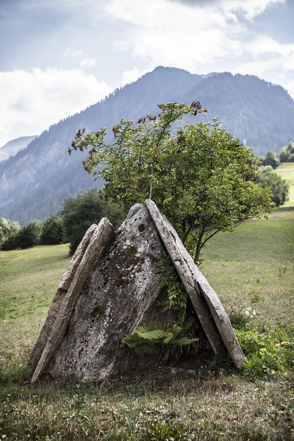 13 Photo Vera Hartmann Val Lumnezia