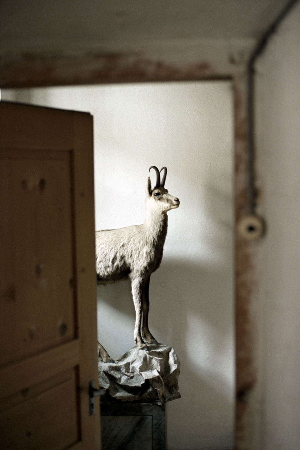 13 Photo Mara Truog Lavin Engadin