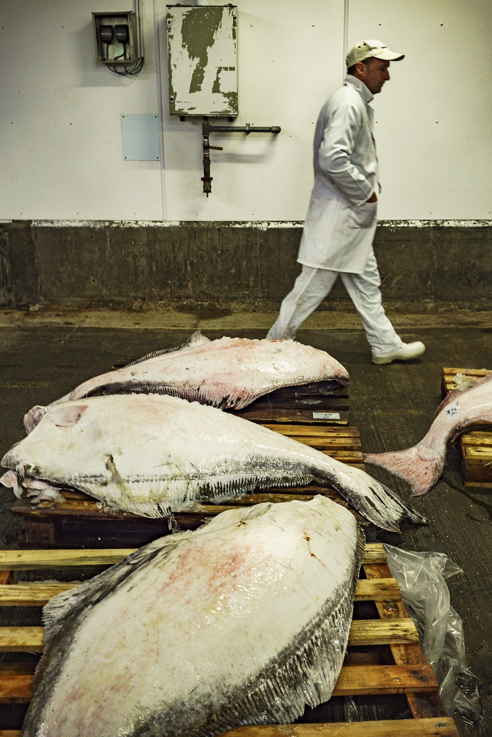 13 Photo Helmut Wachter Grimsby