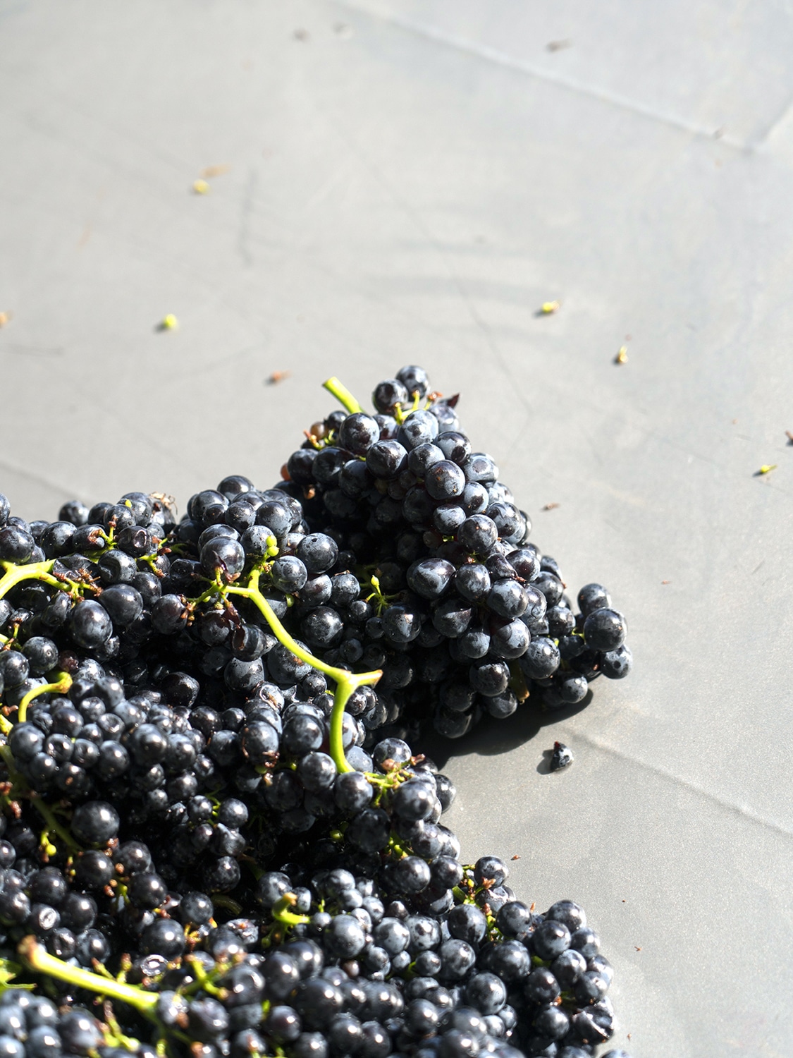 13 Photo Marvin Zilm Fritz Keller