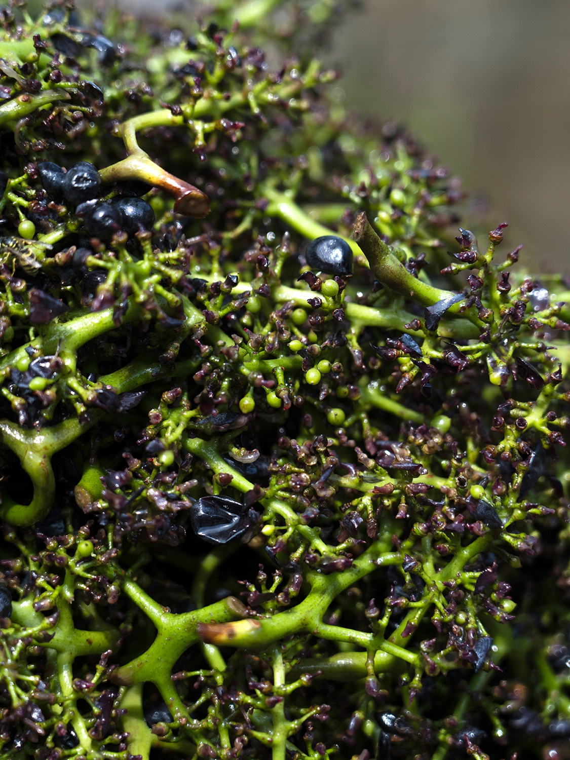 13 Photo Marvin Zilm Fritz Keller