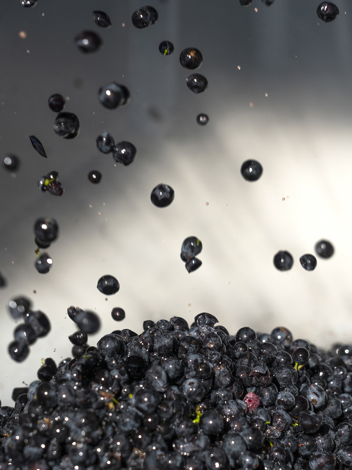 13 Photo Marvin Zilm Fritz Keller