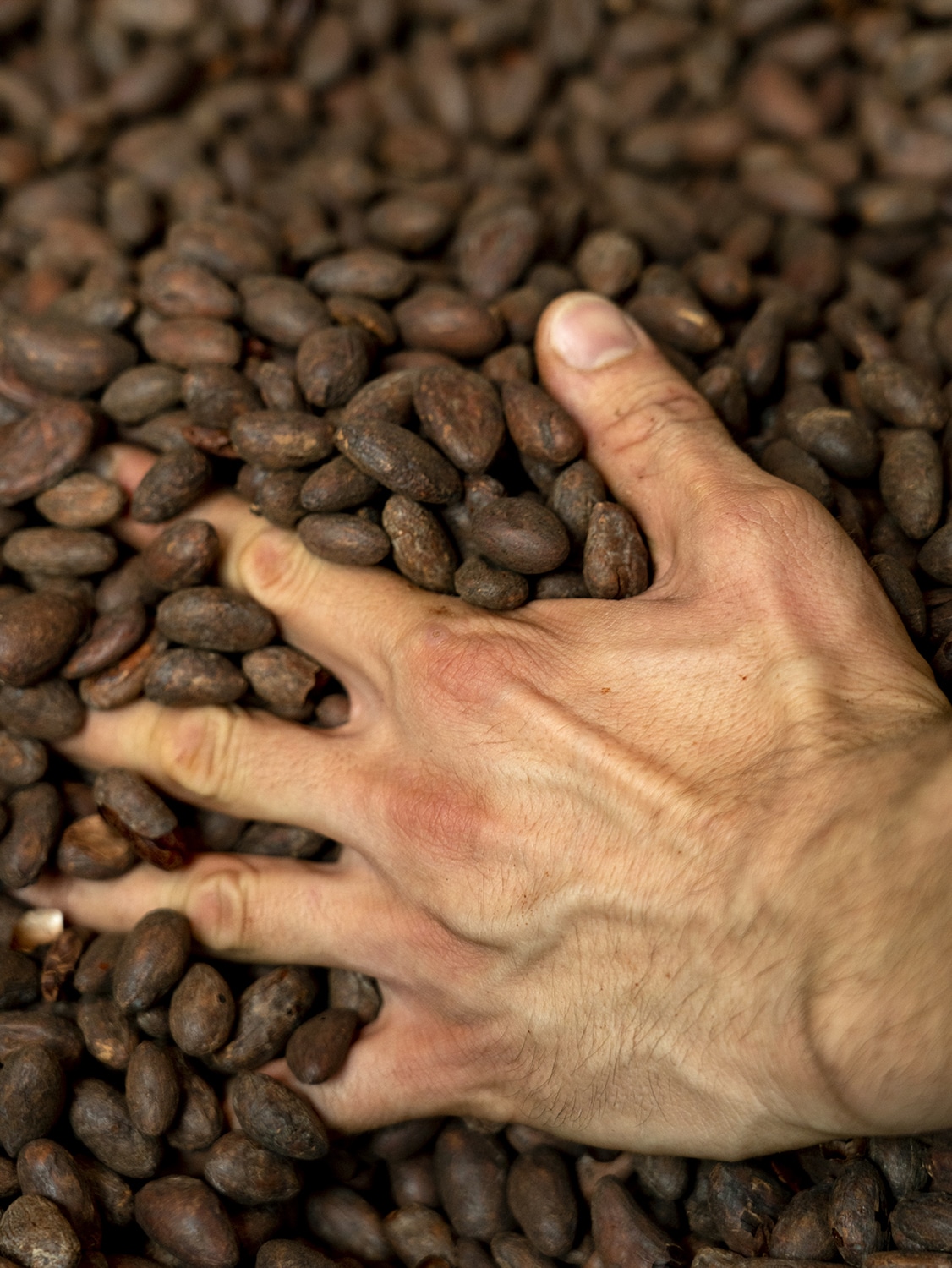 13 Photo Marvin Zilm Alain Ducasse Schokolade Manufaktur