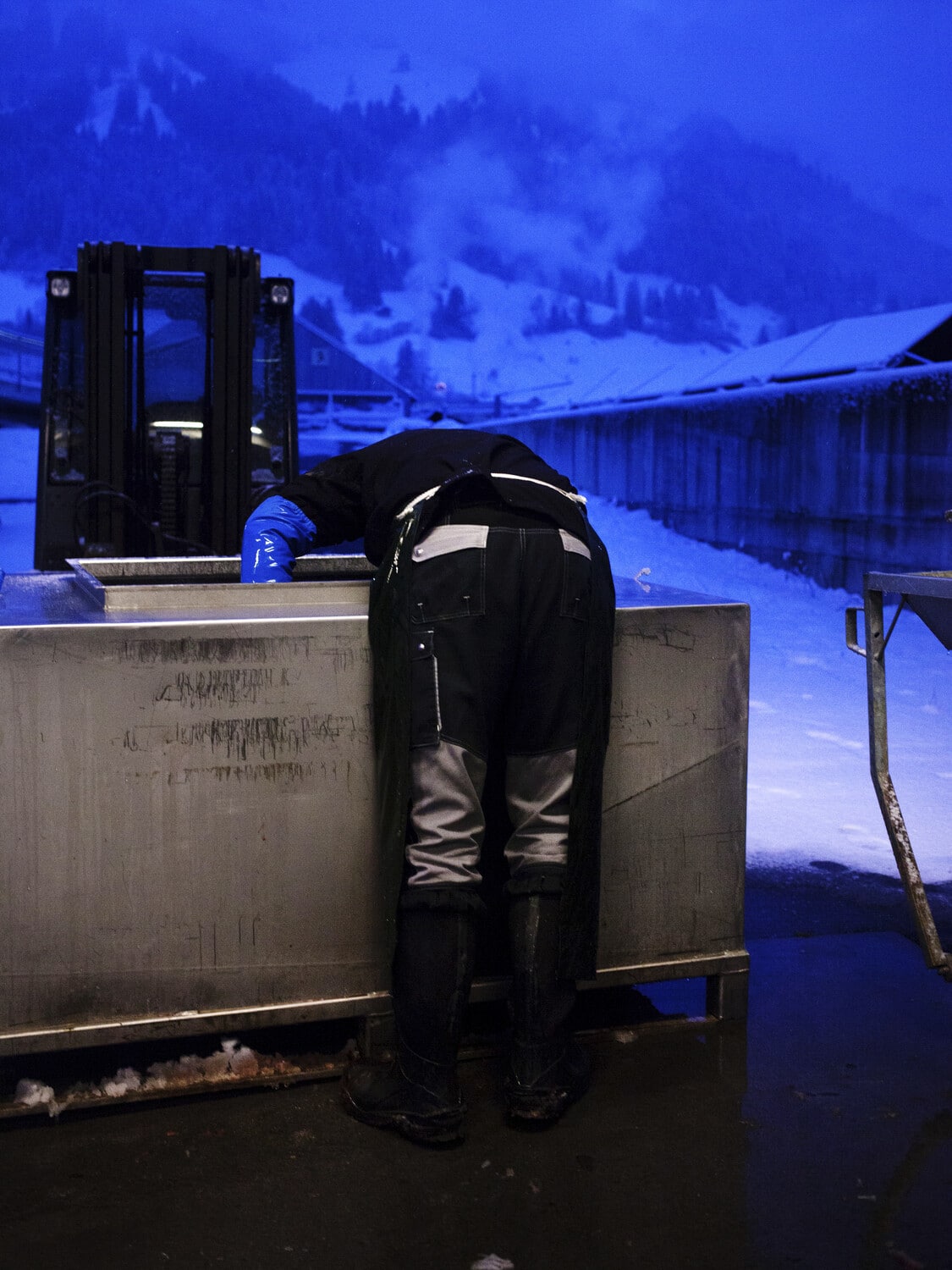 13 Photo Marvin Zilm Kaviar