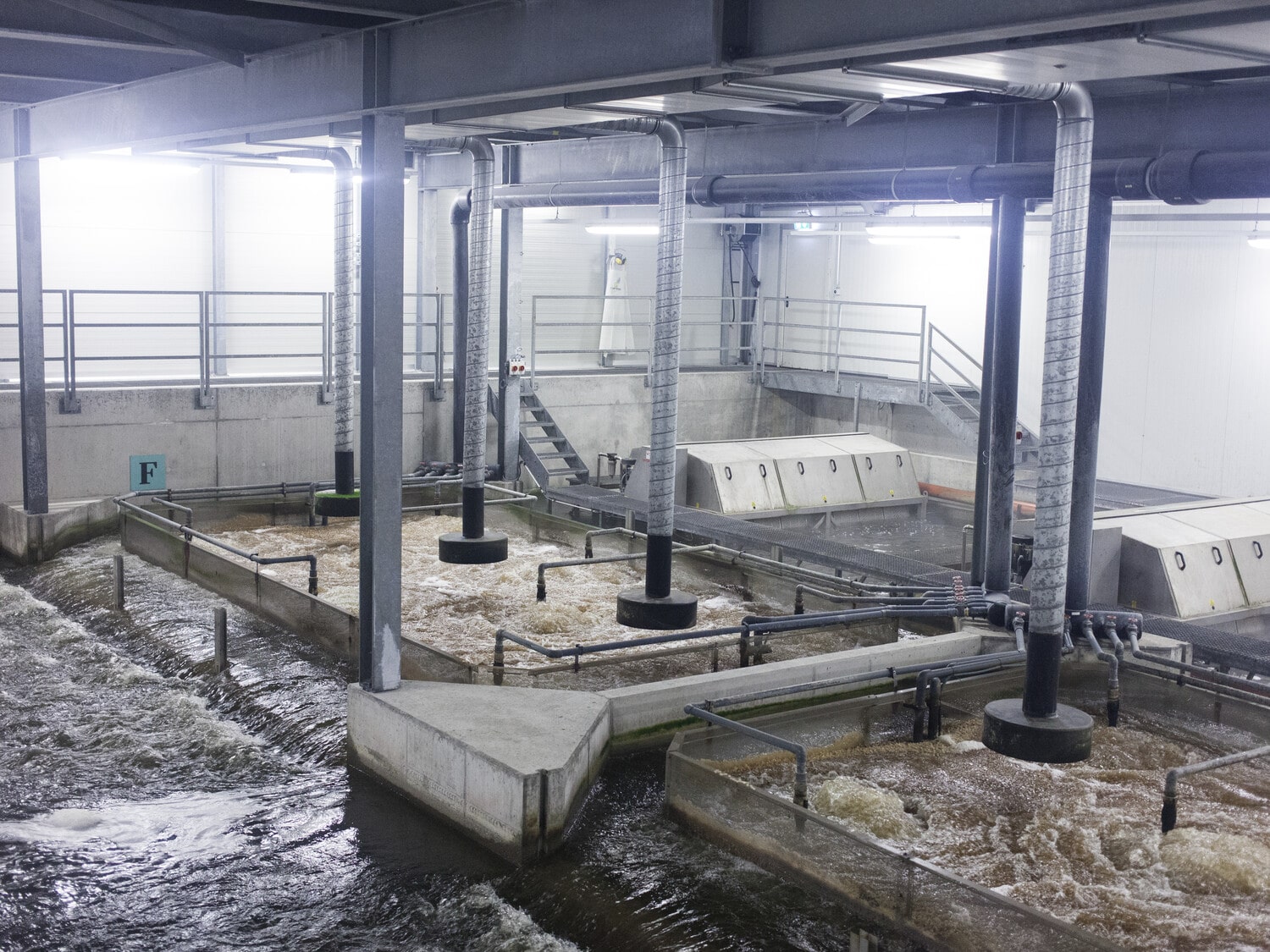 13 Photo Marvin Zilm Kaviar