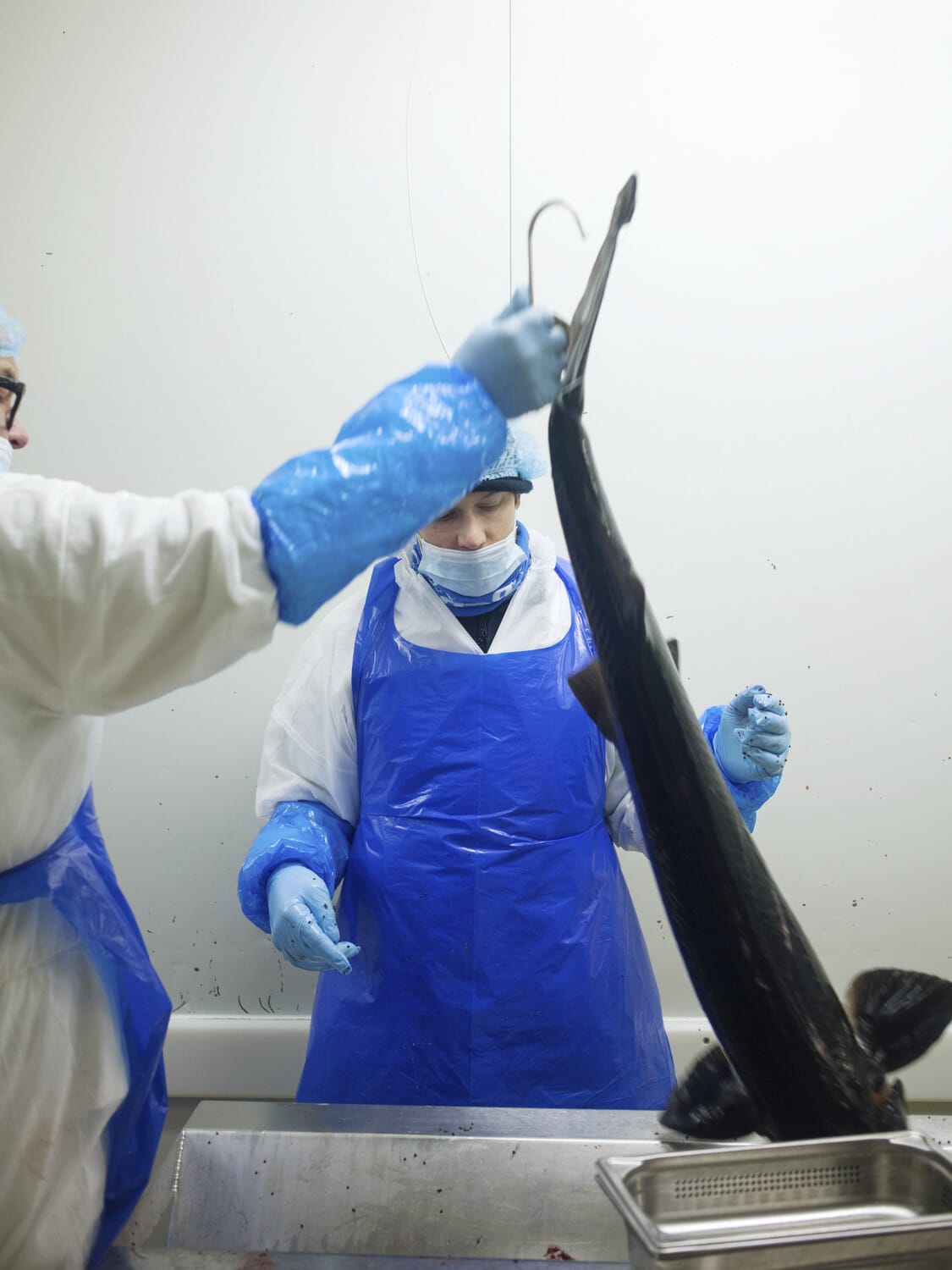 13 Photo Marvin Zilm Kaviar