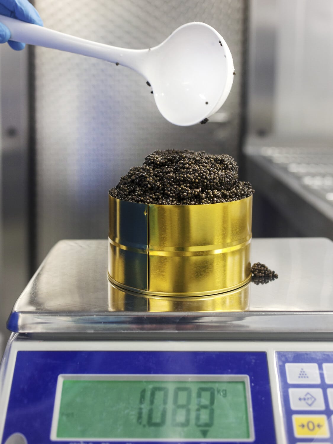 13 Photo Marvin Zilm Kaviar