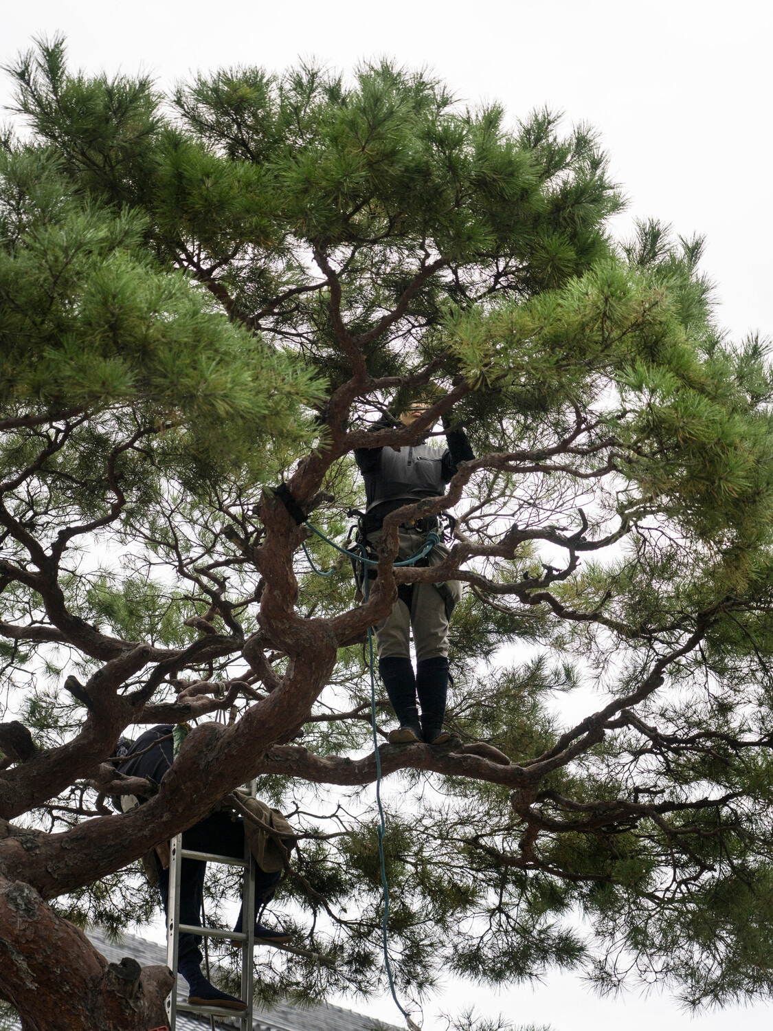 13 Photo Marvin Zilm Men at Work