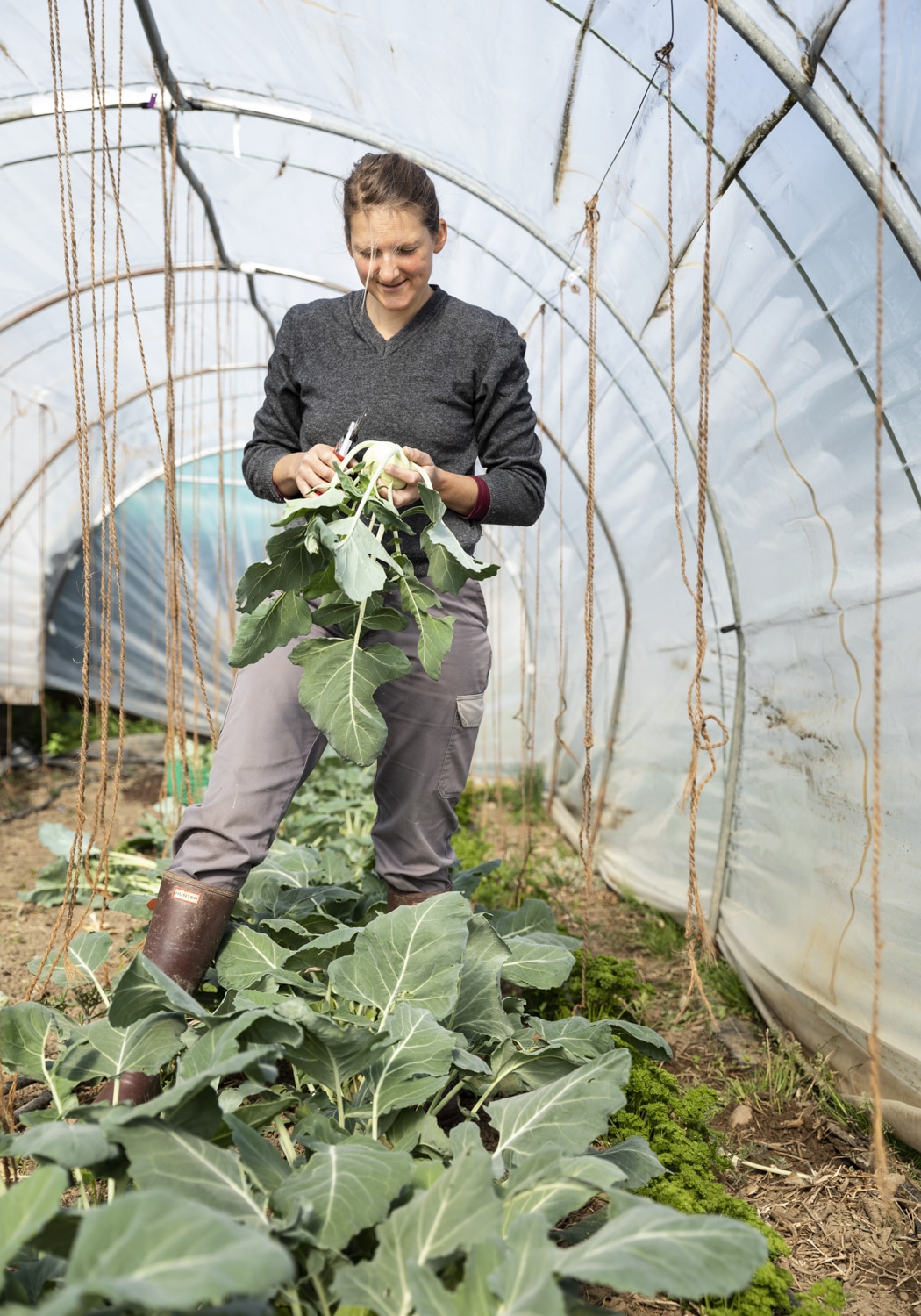 13 Photo Archiv Arbeit