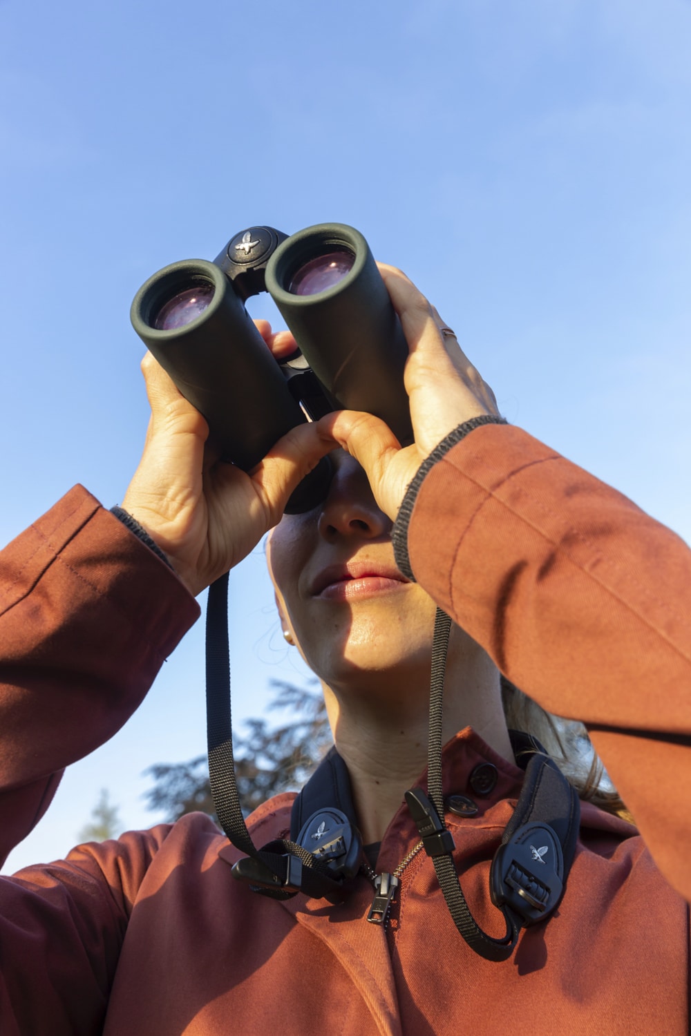 13 Photo Archiv Arbeit