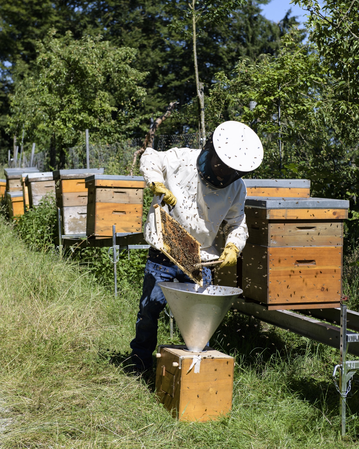 13 Photo Archiv Arbeit