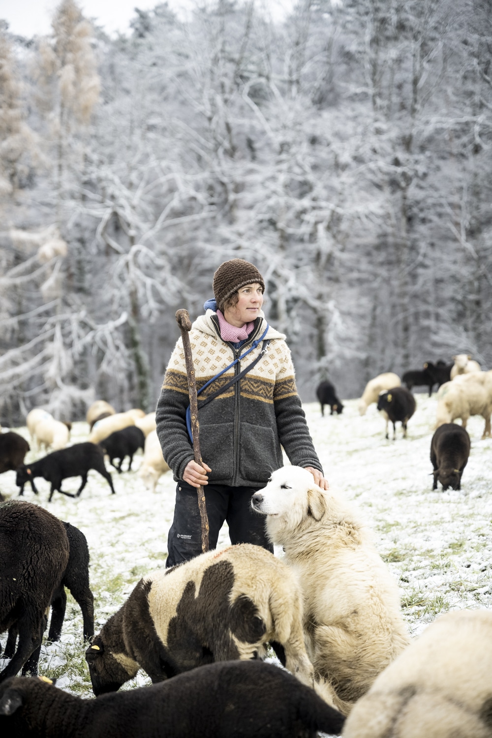 13 Photo Archiv Arbeit