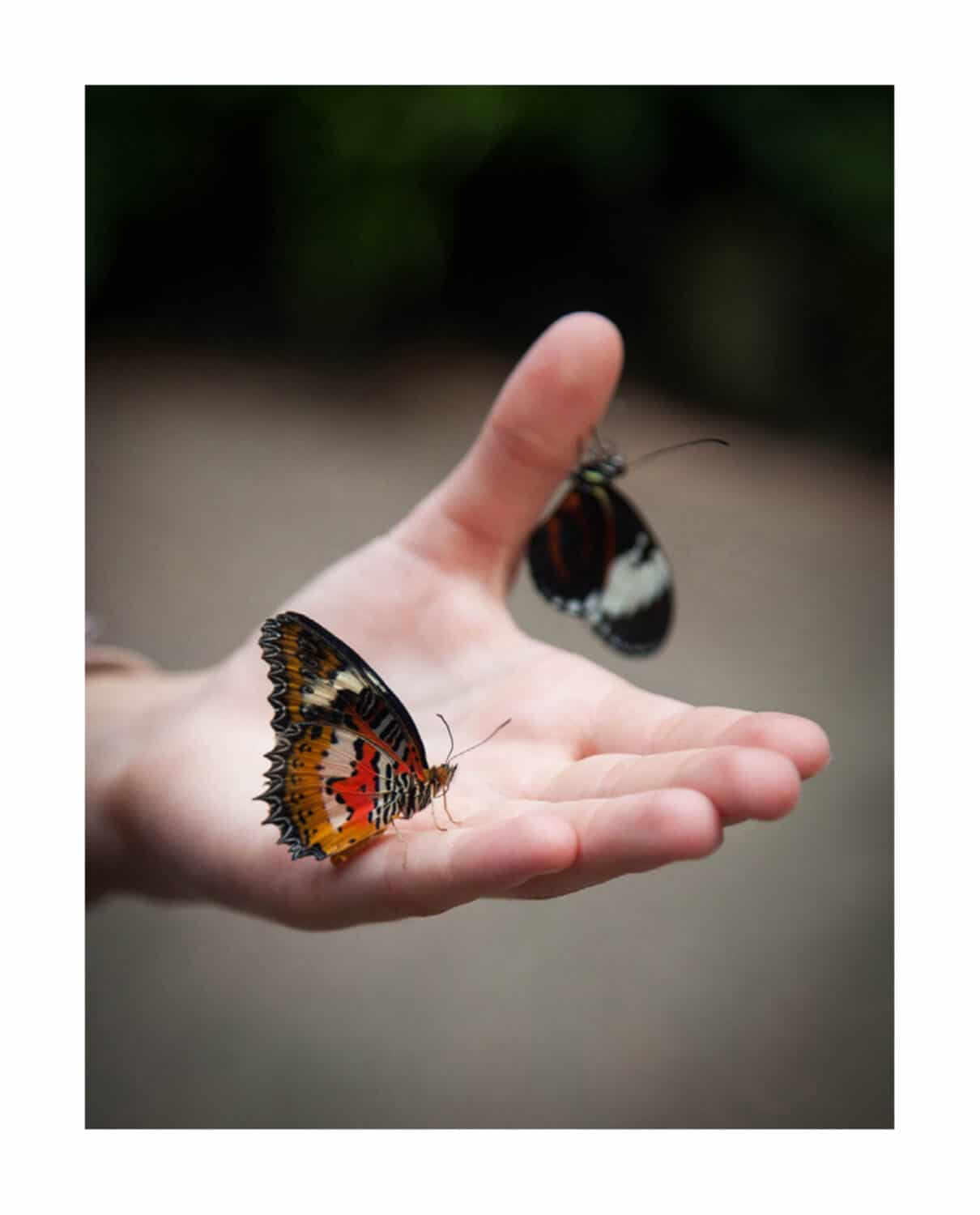 13PHOTO Anne Gabriel Jürgens Coming of Age Kind Teenager