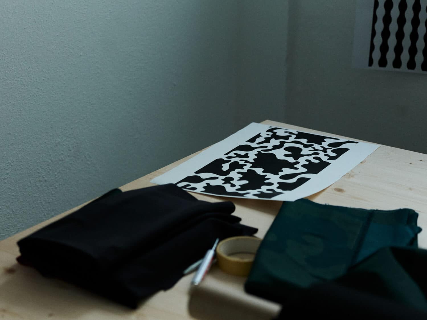 13 Photo Ladina Bischof Quang Vinh Nguyen