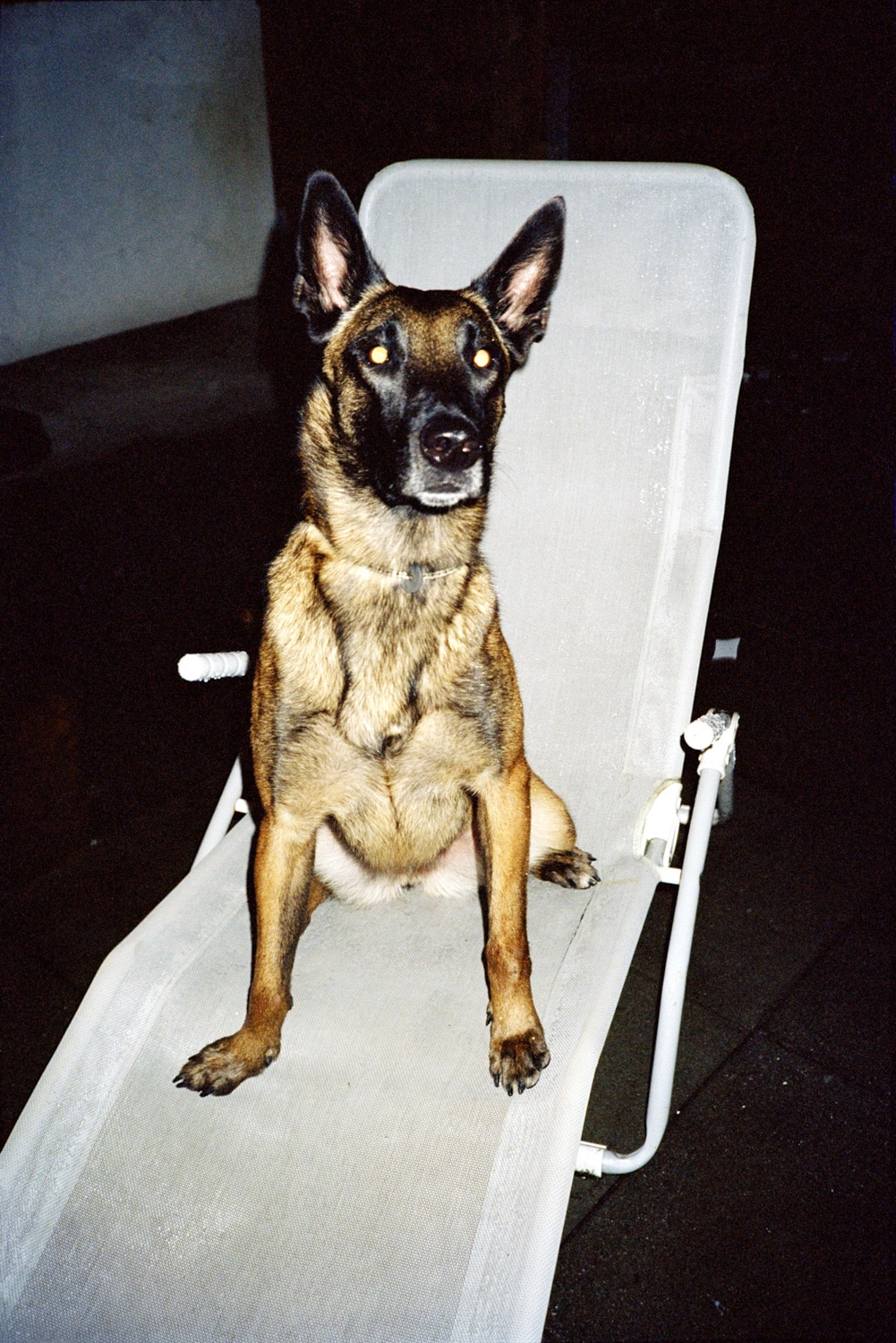 13 Photo Fabian Hugo Three Dangerous Bridges Ahead