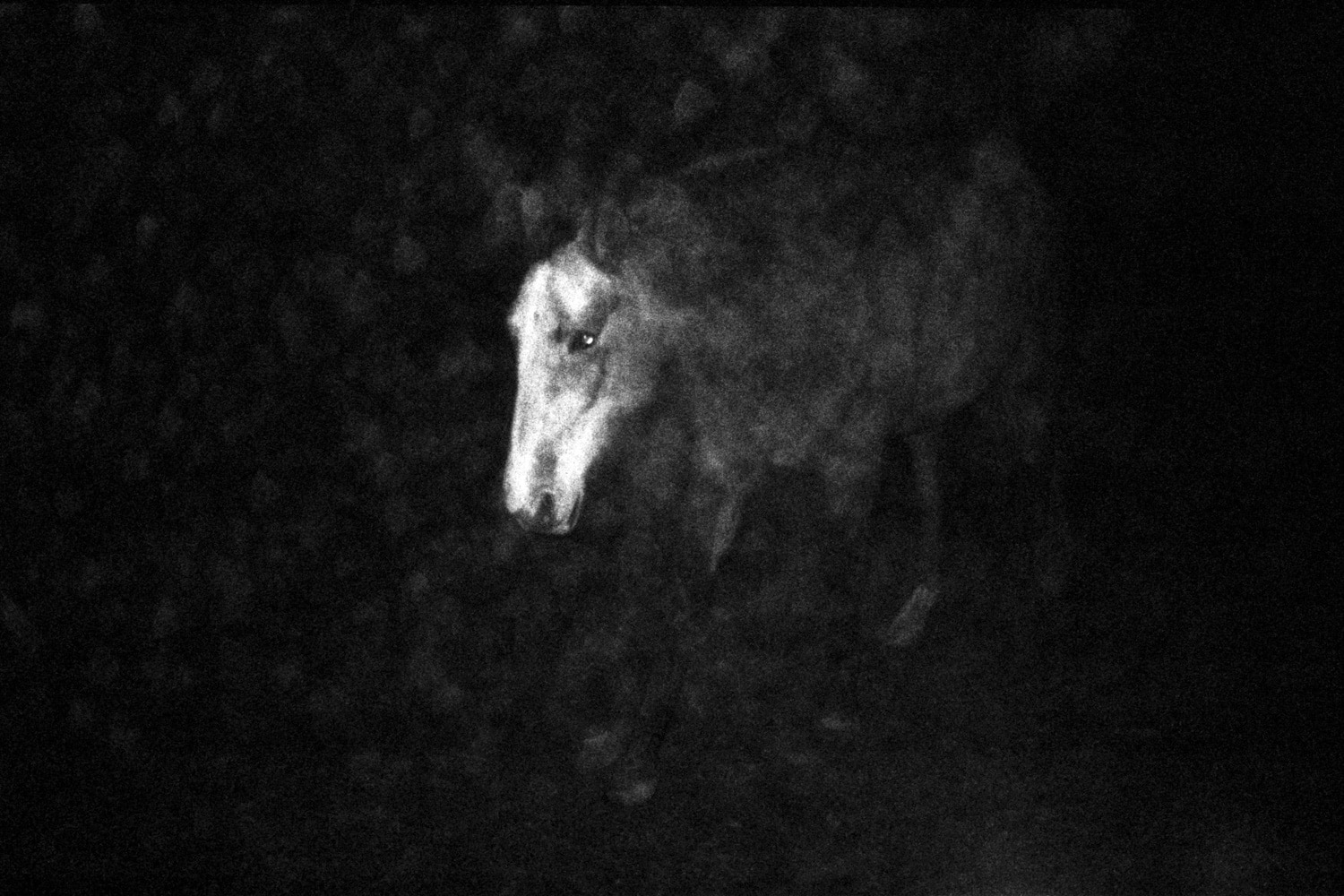 13 Photo Fabian Hugo Three Dangerous Bridges Ahead