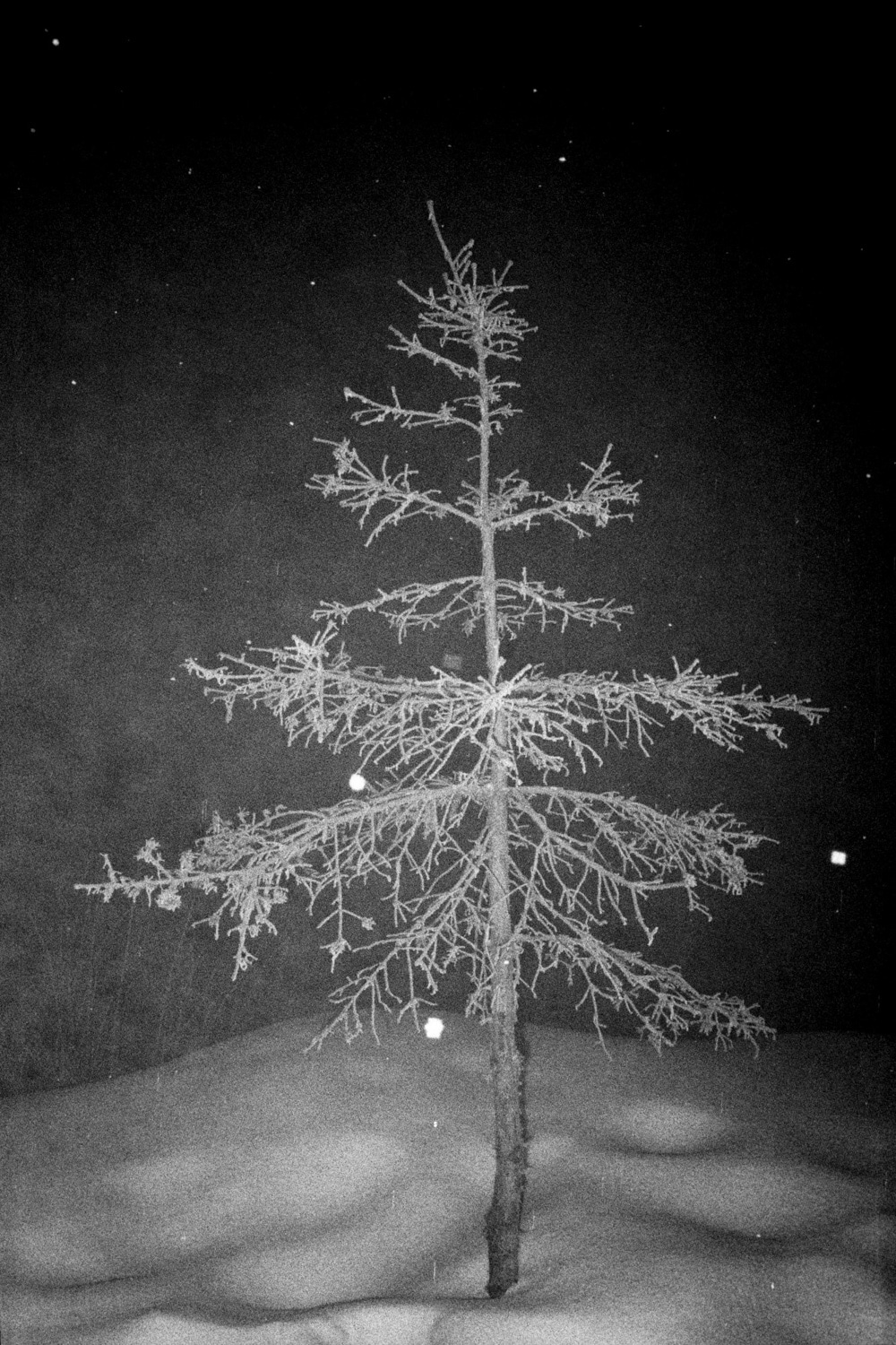 13 Photo Fabian Hugo Three Dangerous Bridges Ahead