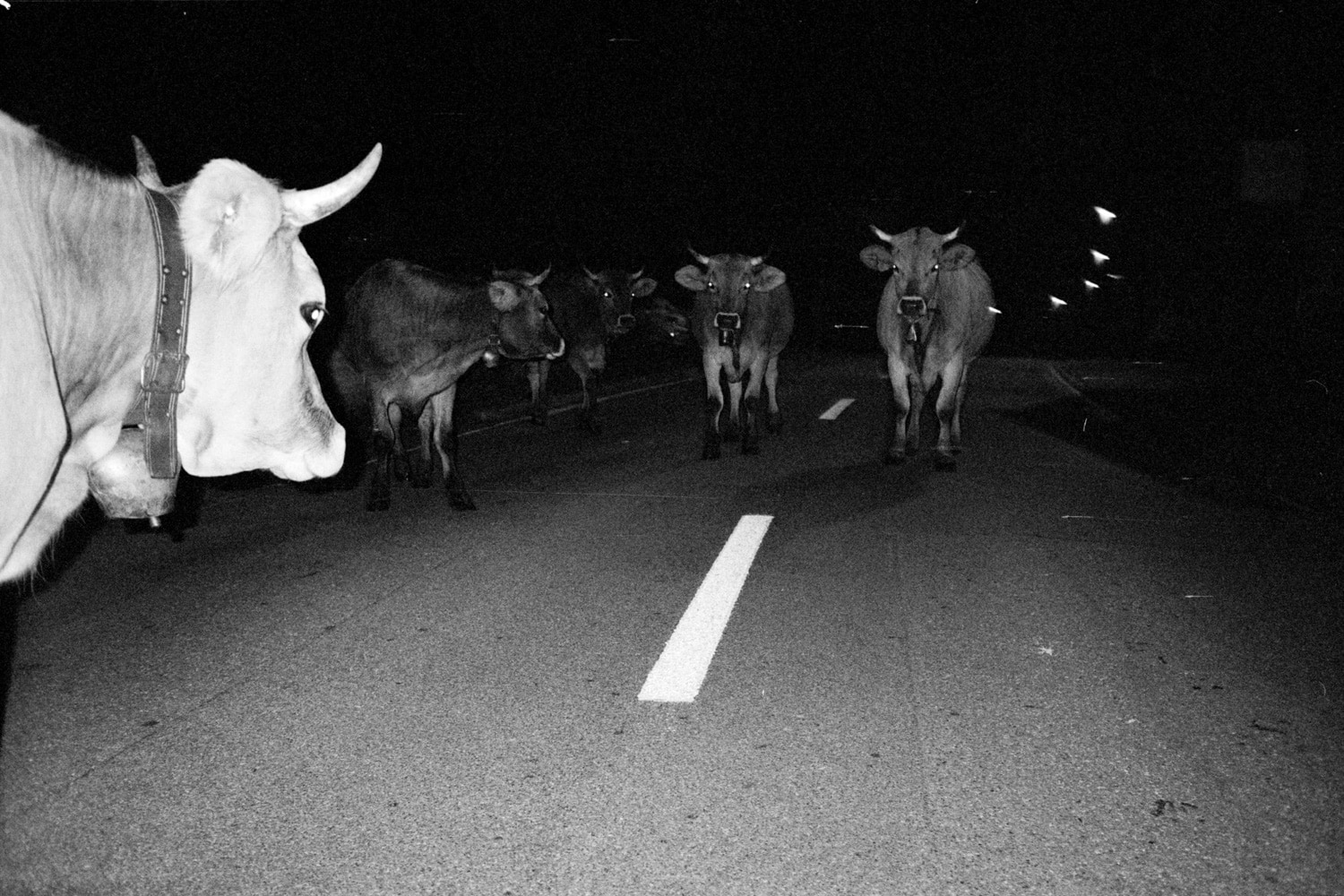 13 Photo Fabian Hugo Three Dangerous Bridges Ahead