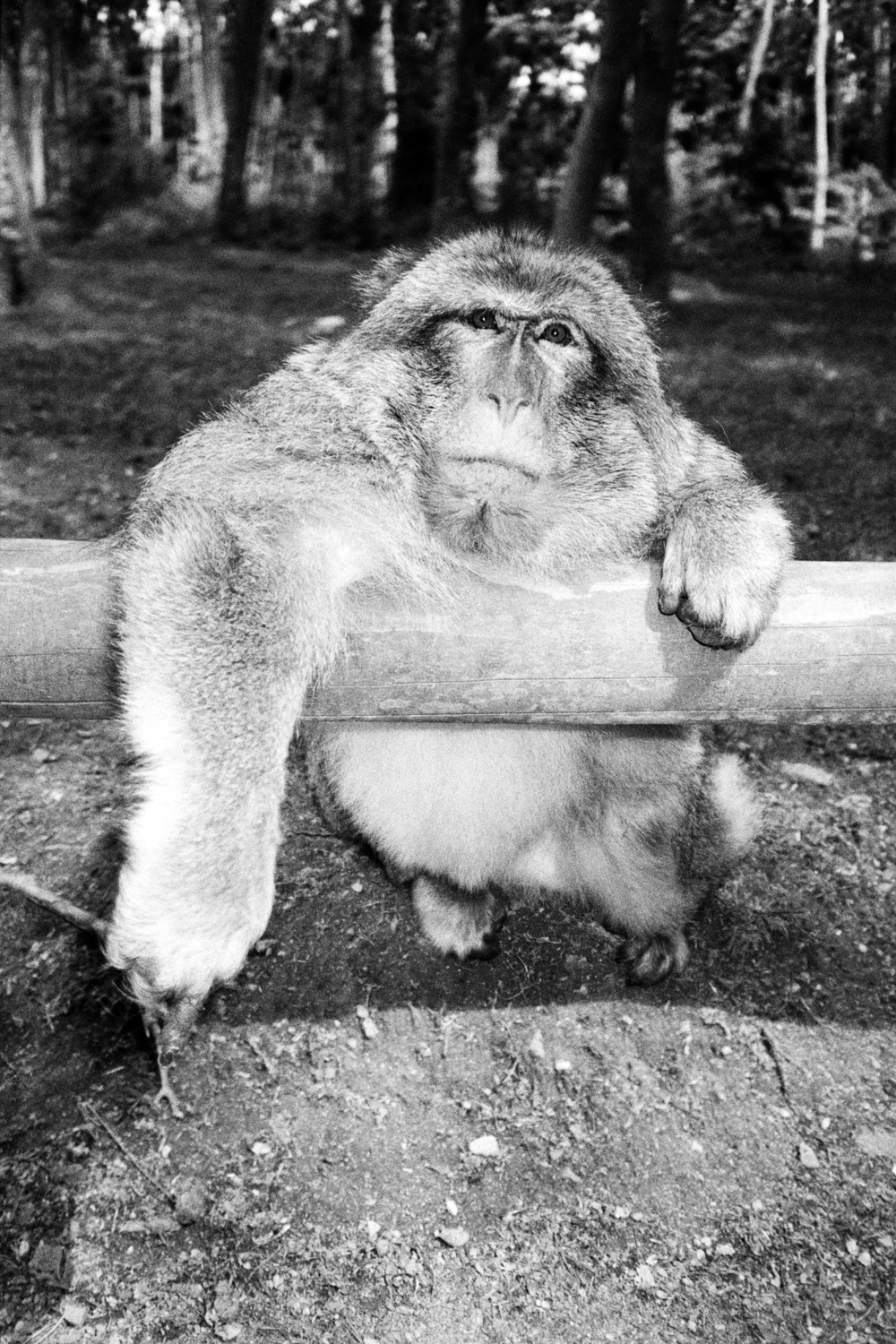 13 Photo Fabian Hugo Three Dangerous Bridges Ahead