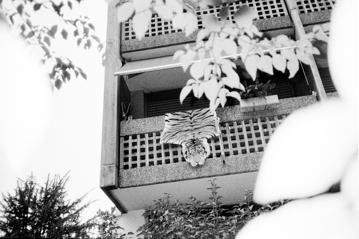 13 Photo Fabian Hugo Three Dangerous Bridges Ahead