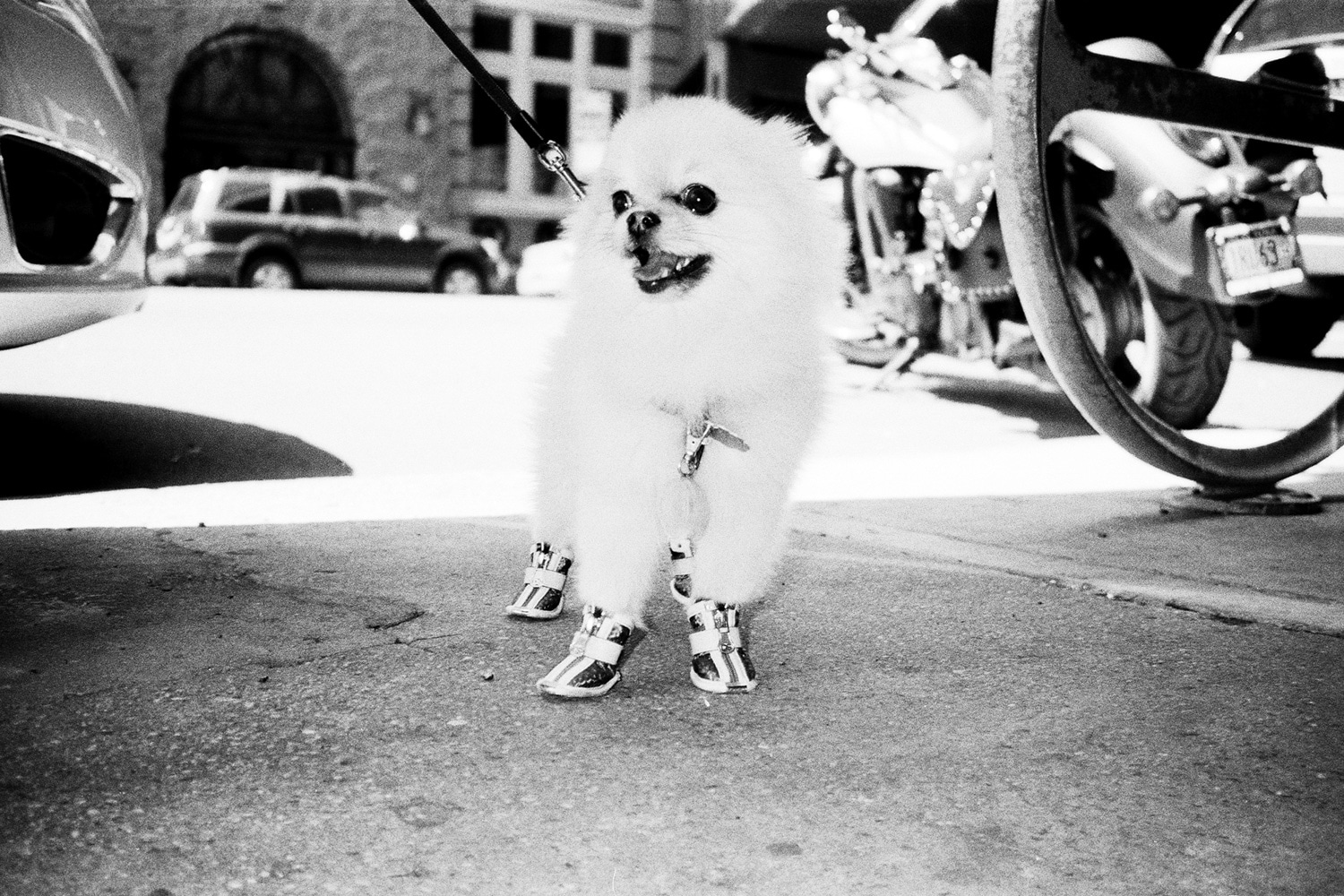 13 Photo Fabian Hugo Three Dangerous Bridges Ahead