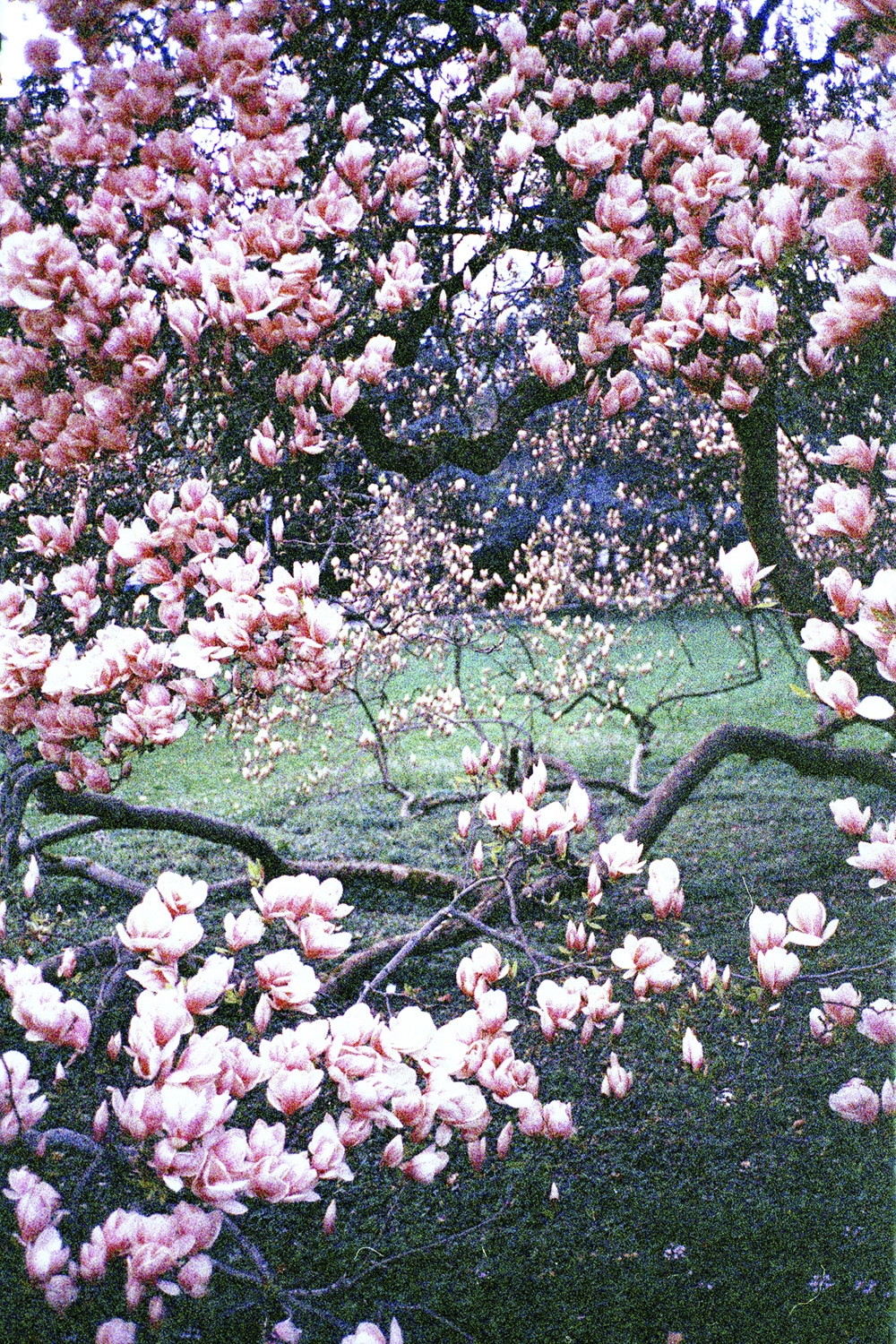 13 Photo Fabian Hugo Three Dangerous Bridges Ahead