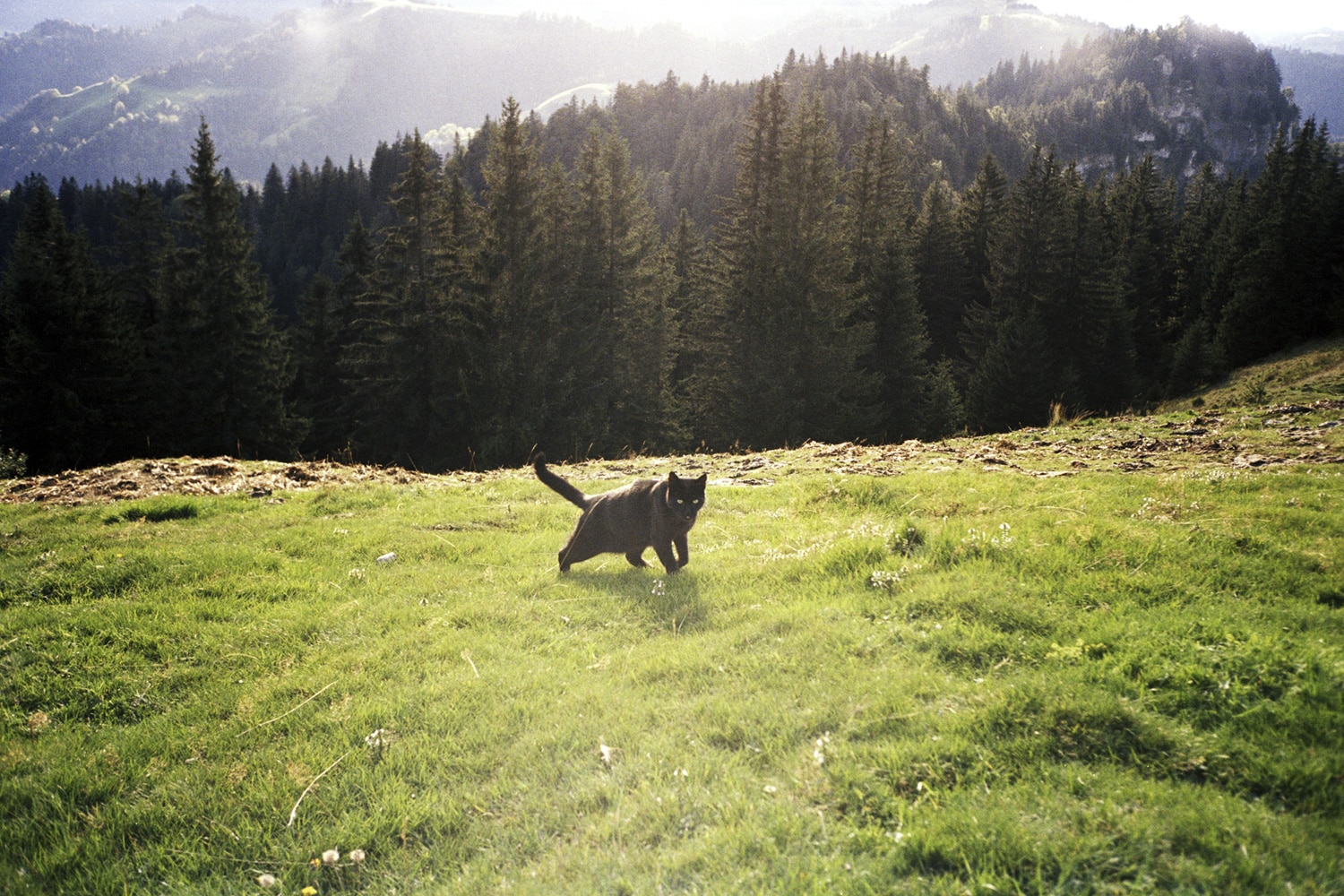 13 Photo Fabian Hugo Three Dangerous Bridges Ahead