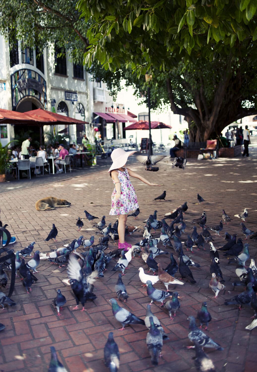13 Photo Ornella Cacace Domenikanische Republik