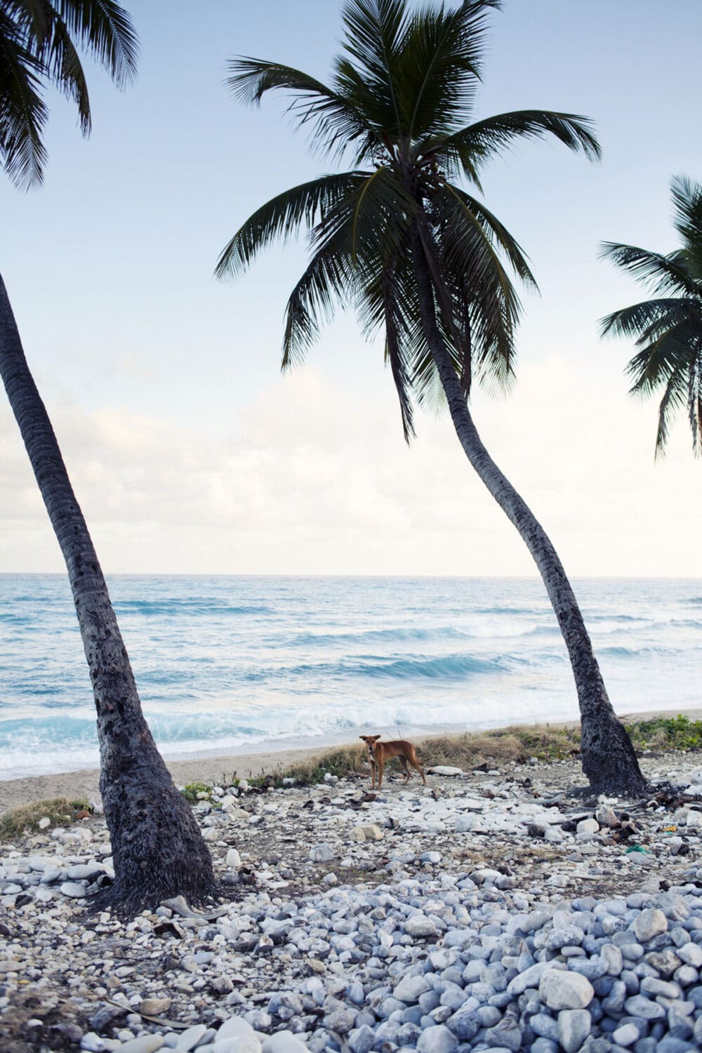 13 Photo Ornella Cacace Domenikanische Republik