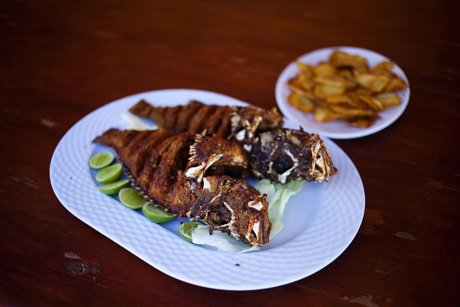 13 Photo Ornella Cacace Domenikanische Republik