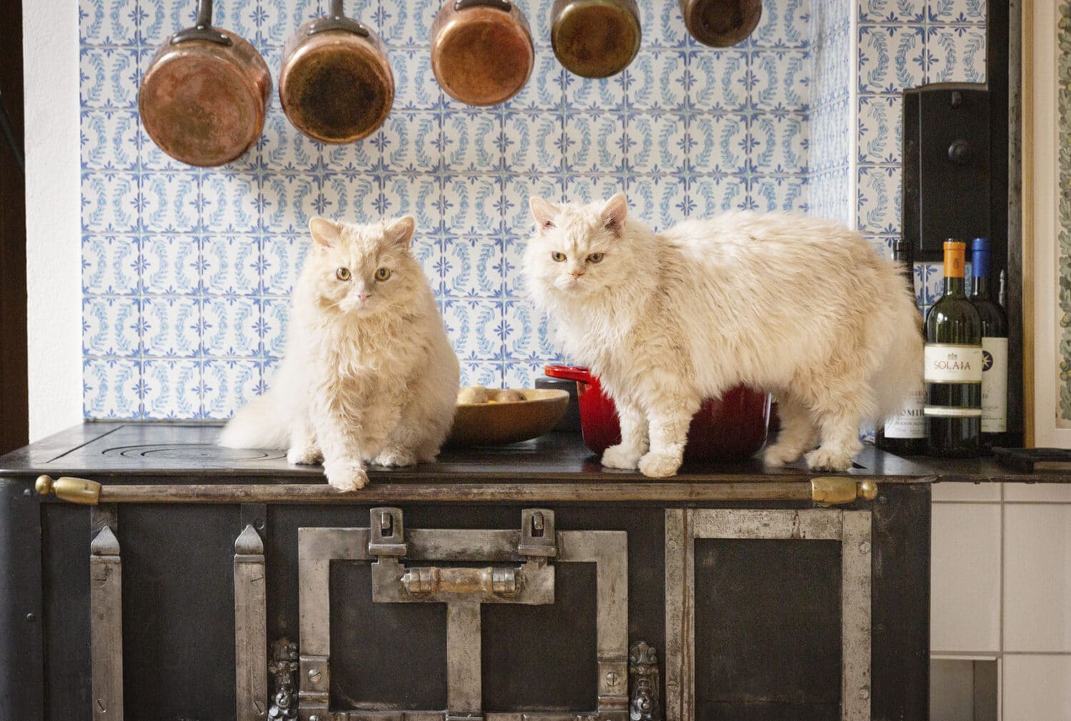 13 Photo Rita Palanikumar Sweet Home Lisa Mettier