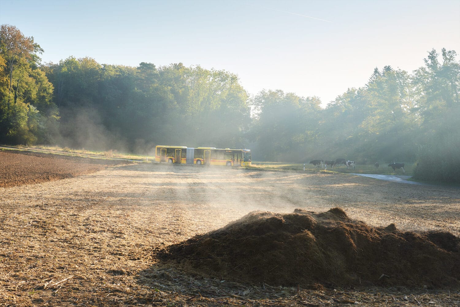 13PHOTO Christian Aeberhard Baselland Transporte Geschäftsbericht