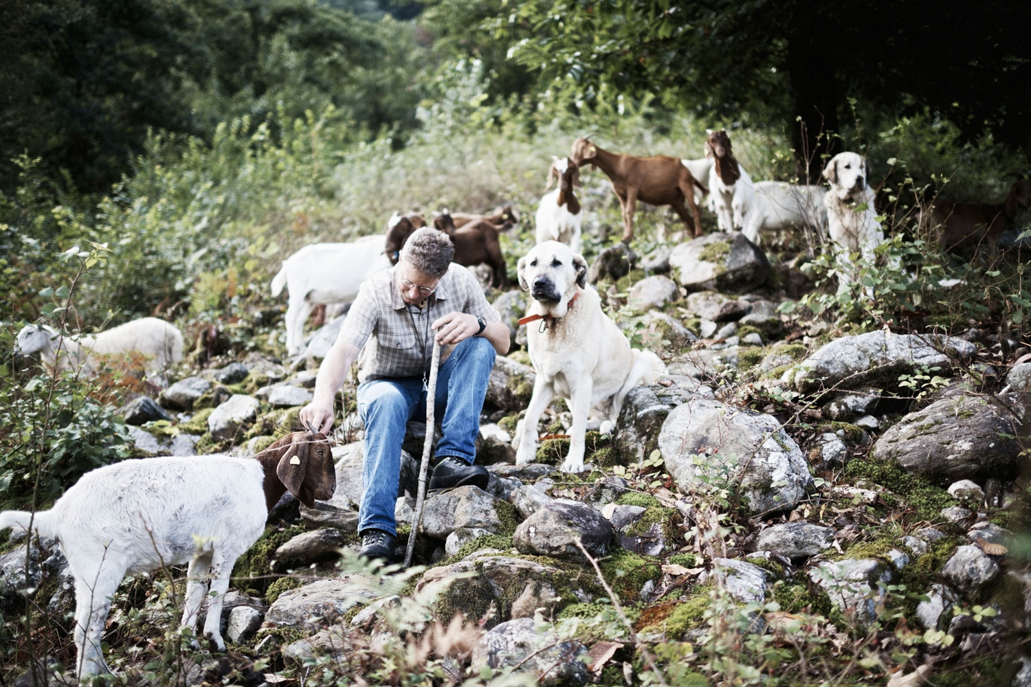 13 Photo Samuel Trümpy Herdenschutz