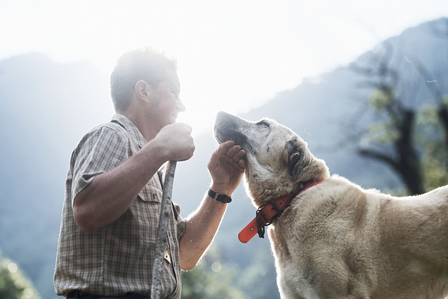 13 Photo Samuel Trümpy Herdenschutz