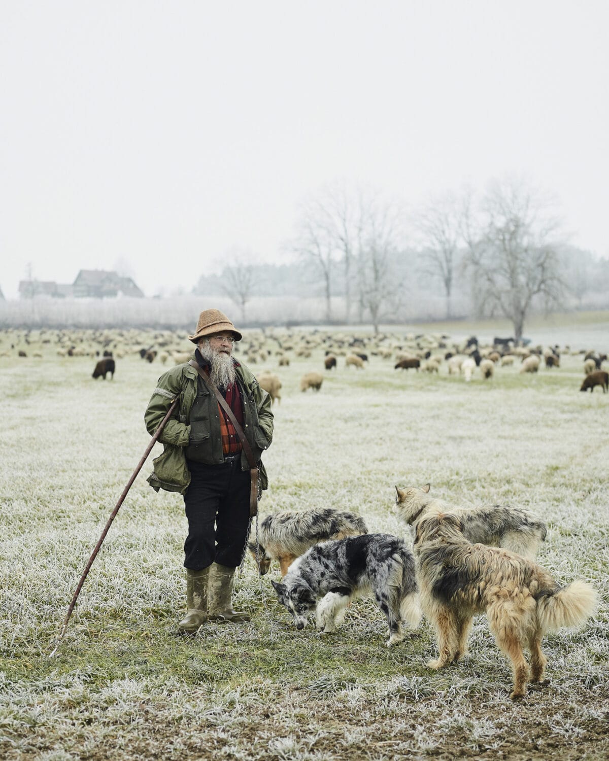 13 Photo Herbert Zimmermann Schäfer