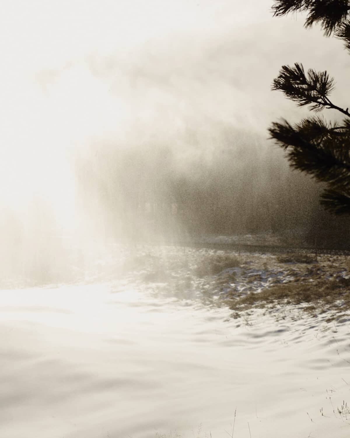 13 Photo Herbert Zimmermann Pontresina