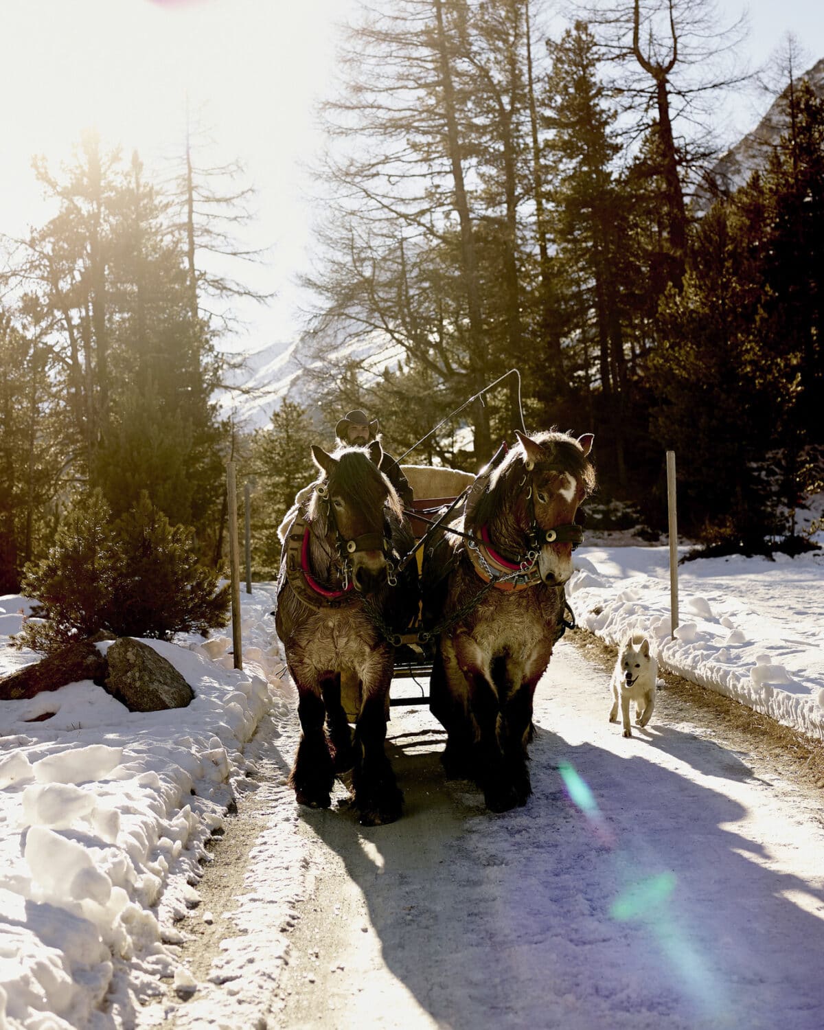 13 Photo Herbert Zimmermann Pontresina