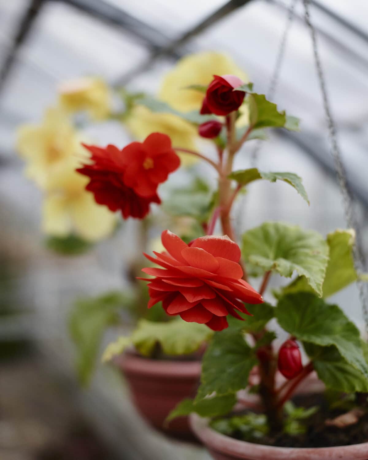 13 Photo Herbert Zimmermann Abtei Hauterive