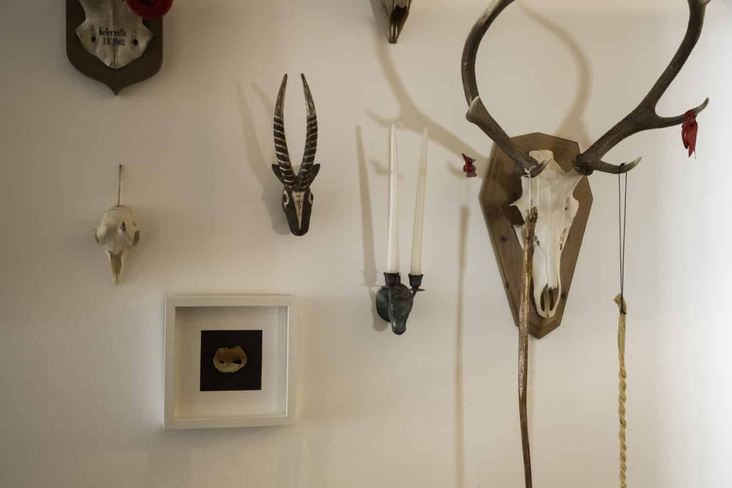 13Photo Désirée Good Tanya Giovanoli Meat Design