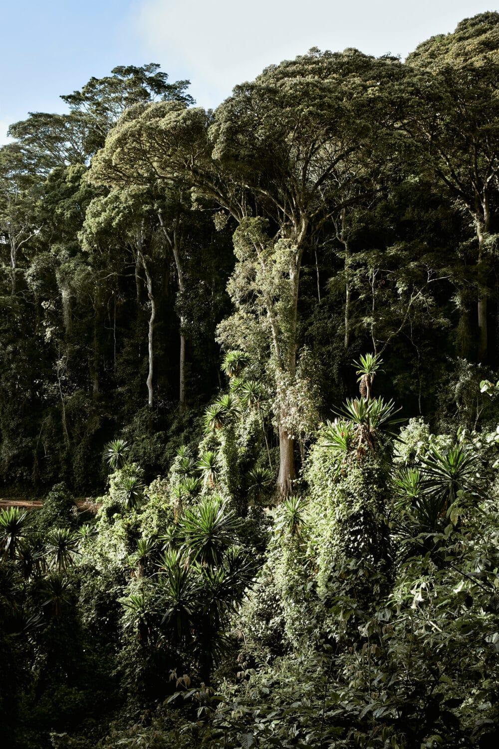 13 Photo Lea Meienberg Buch Mazumbai Tansania