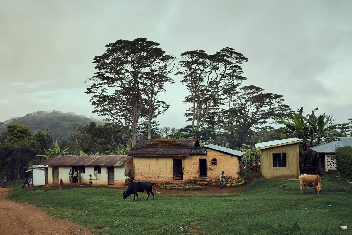 13 Photo Lea Meienberg Buch Mazumbai Tansania