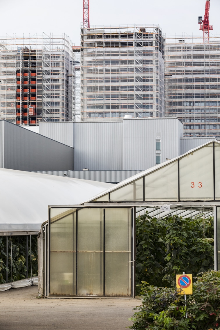 13Photo Sophie Stieger - Serie Dübendorf wächst - ein Stadtportrait