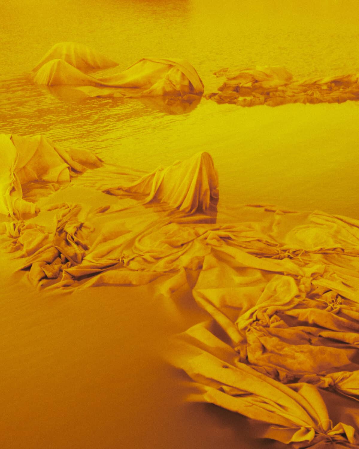 13Photo-Florian Spring-Varia Instruments