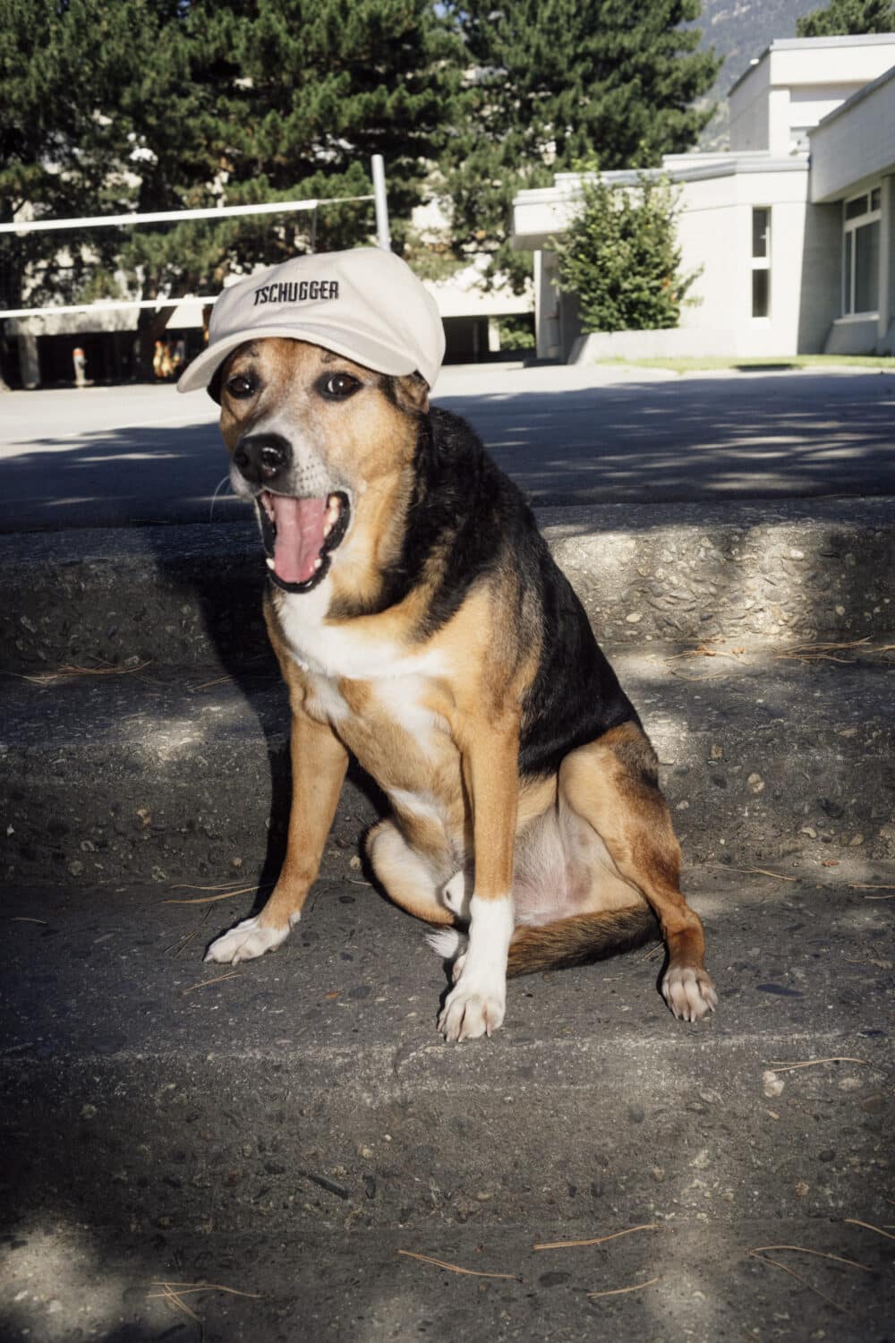 13Photo-Fabian Hugo-Tschugger