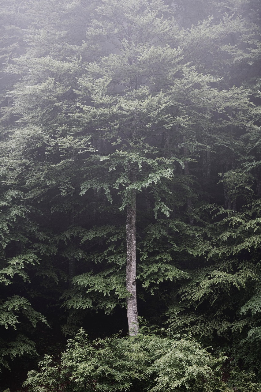 13Photo-Samuel Trümpy-Kunsthaus Glarus