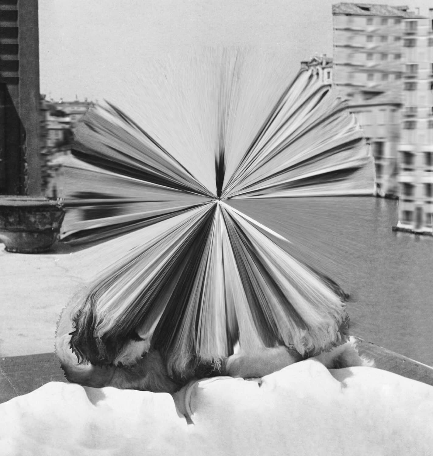 13Photo-Tamara Janes-Swiss Design Award